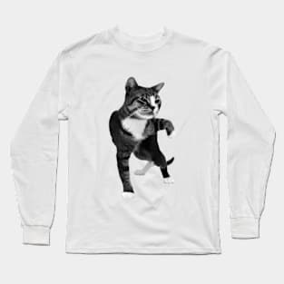 Fighting Cat Long Sleeve T-Shirt